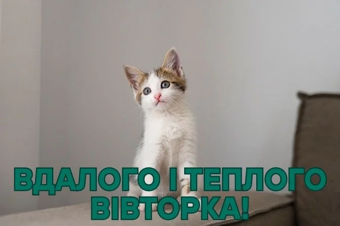 Гарне взуття