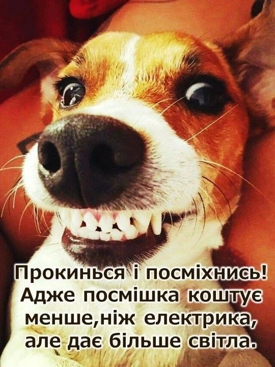 веселая картина для утра