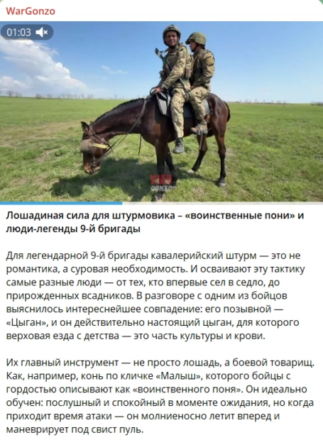 Обучение российских военных верховой езде, скриншот из телеграм-канала Wargonzo