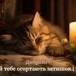 Побажання тихої ночі та солодких снів: красиві, прикольні, в картинках